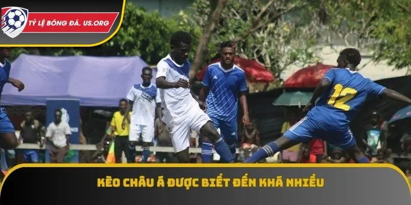 Tỷ lệ bóng đá châu Á được biết đến khá nhiều