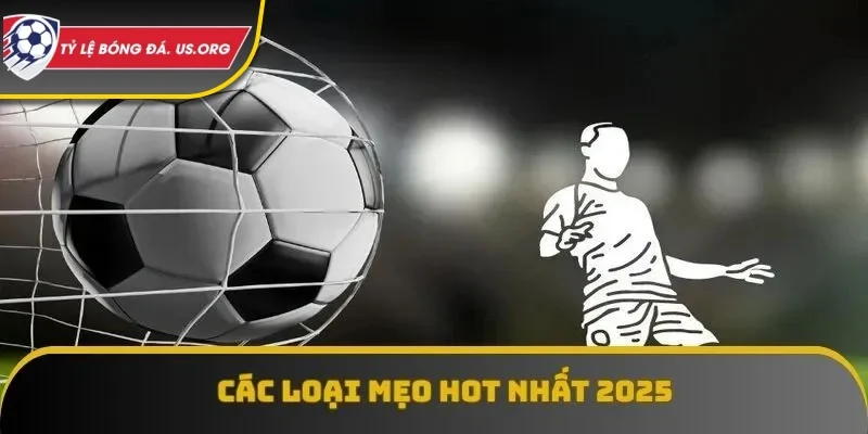 Các loại mẹo phổ biến nhất 2025