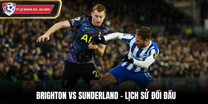 Thống kê lịch sử chạm trán giữa Brighton và Sunderland